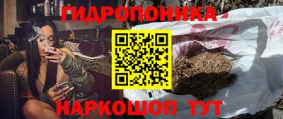 спиды Заводоуковск