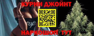 крисы Жуковский
