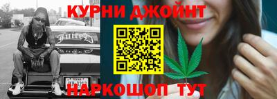 крисы Жуковский