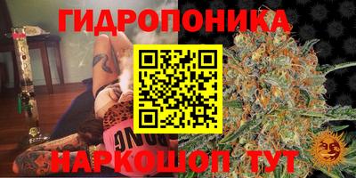 крисы Жуковский