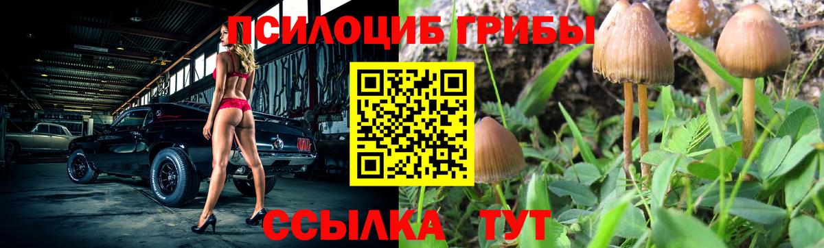 Галлюциногенные грибы GOLDEN TEACHER  Вход с VPN  Люберцы 